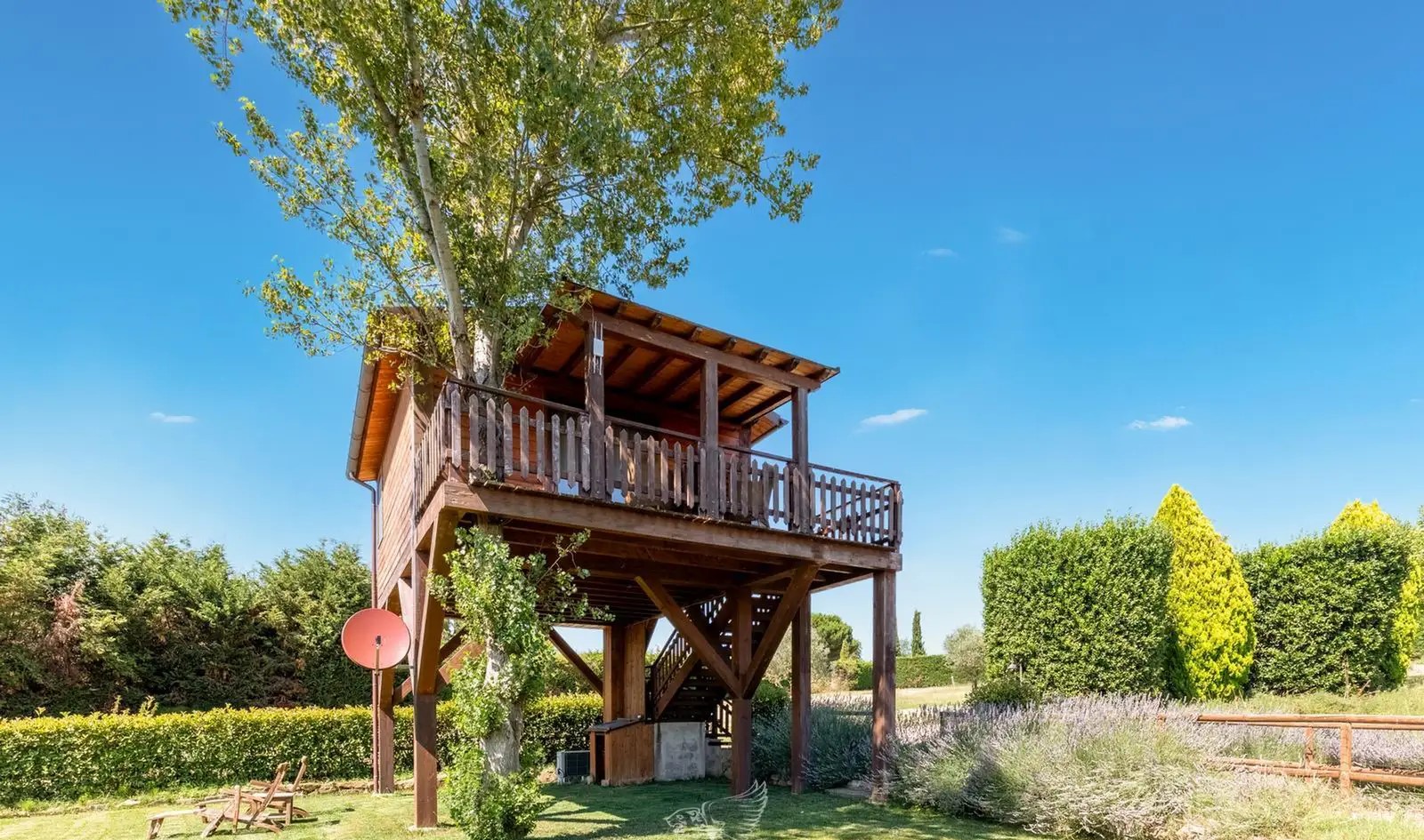 Casa Albero